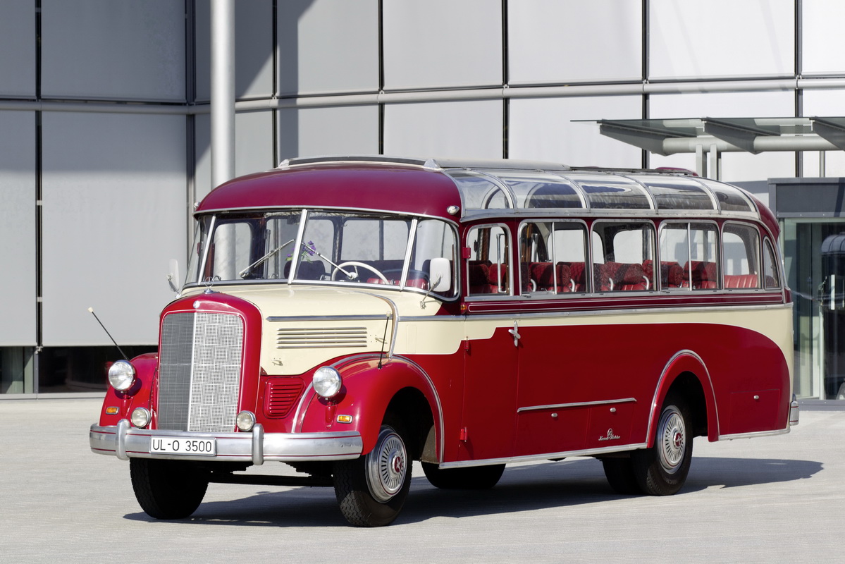 Әдемі қара есектер